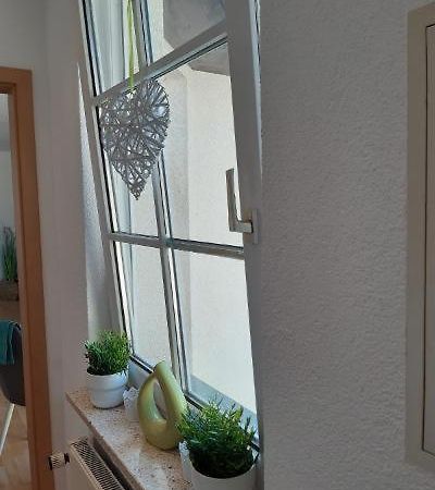 Ferienwohnung Salzmannhaus Zschopau Εξωτερικό φωτογραφία