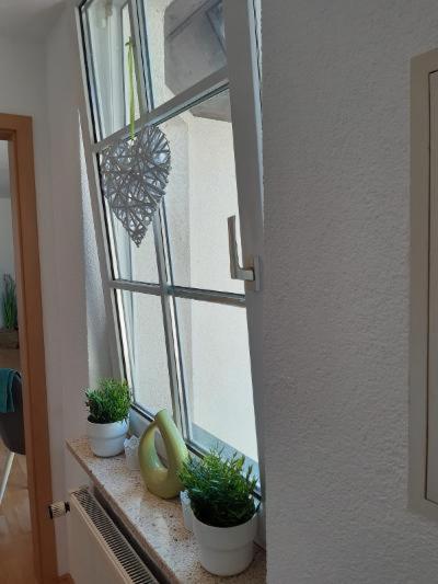 Ferienwohnung Salzmannhaus Zschopau Εξωτερικό φωτογραφία